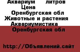 Аквариум 350 литров › Цена ­ 1 000 - Оренбургская обл. Животные и растения » Аквариумистика   . Оренбургская обл.